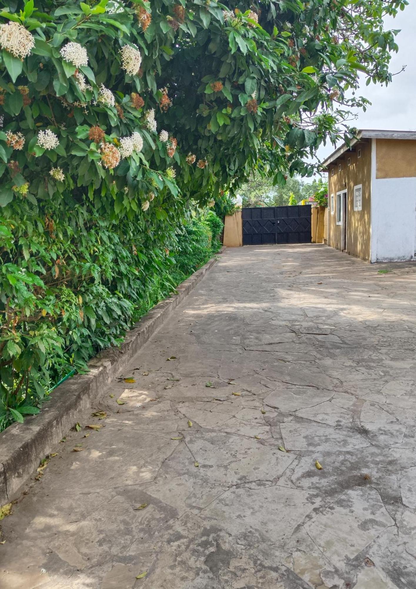 Joysvilla Family Holiday Home Malindi Buitenkant foto